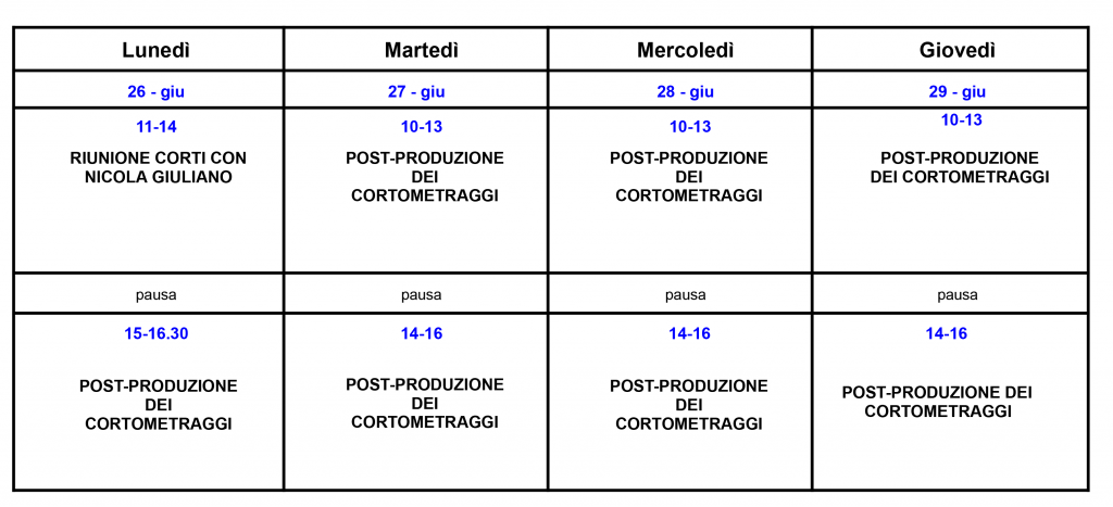 PROGRAMMAZIONE FINE GIUGNO
